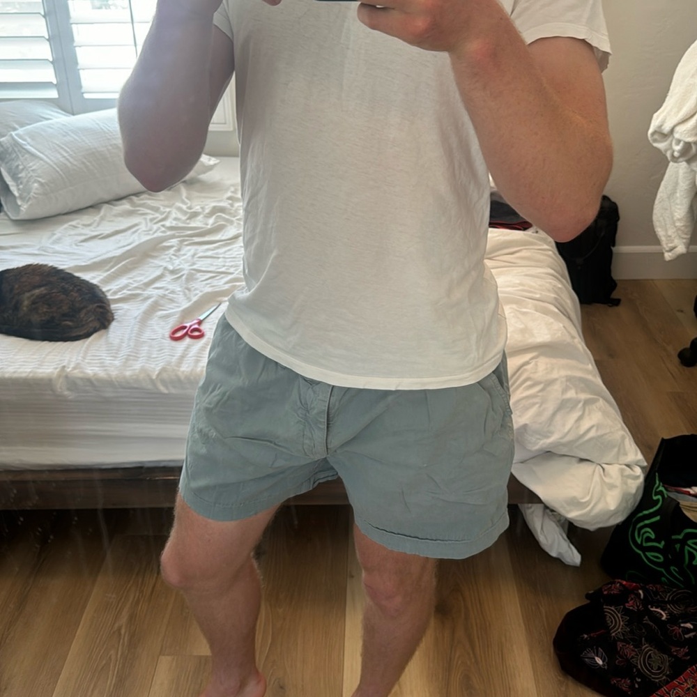 Hazy blue 4 inch inseam chubbies “Misty Breezes” shorts. X-Large